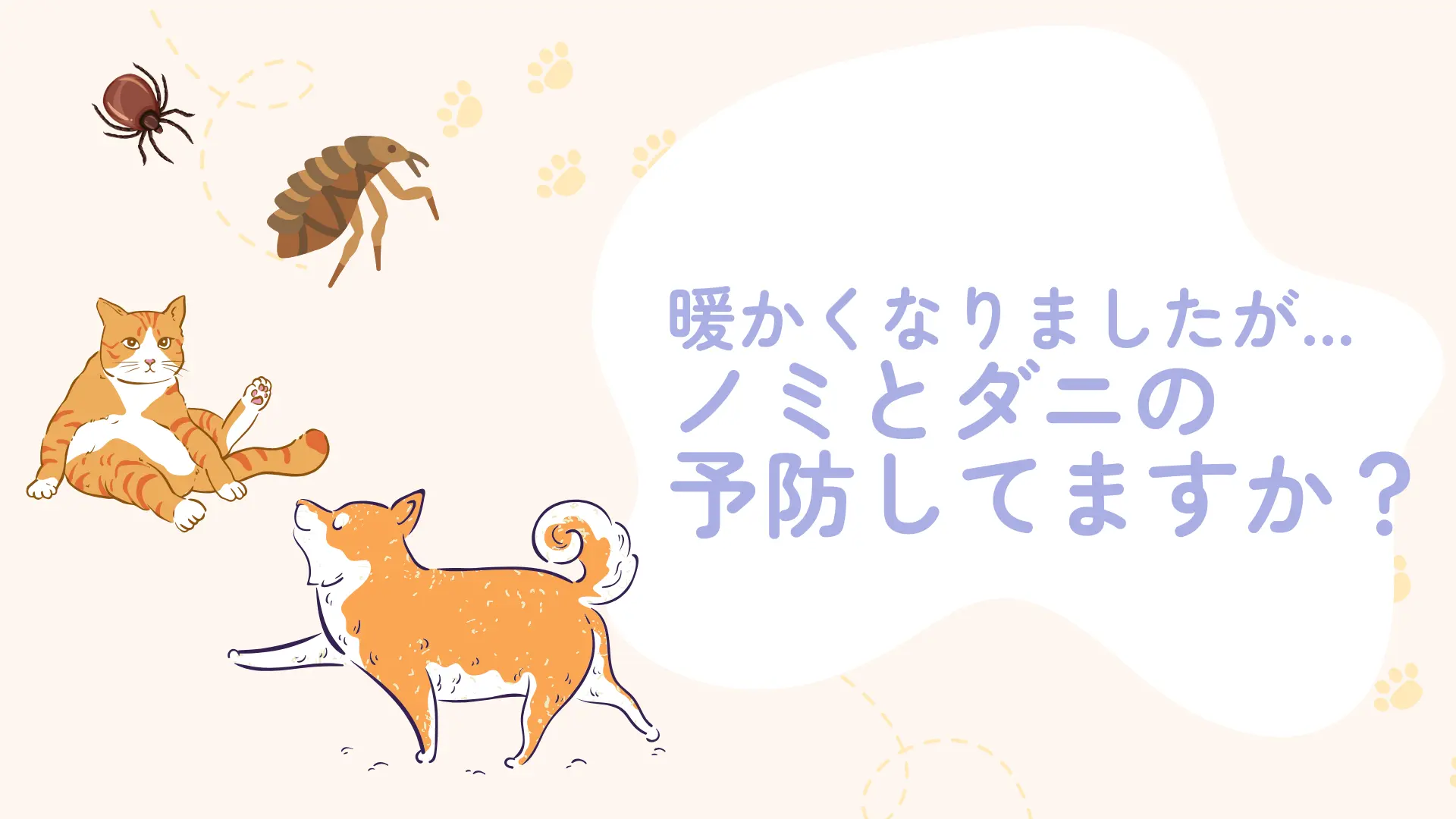 【ノミ・ダニの季節到来!大切なわんちゃん・ねこちゃんを守るために】 | ピア動物医療センター